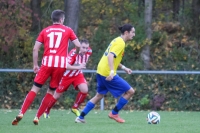 16.11.2014: SC Wettersbach - TV Spöck