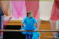 Kleine Feen in den Zweigen (Mädchen Freitag)